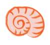 shell-Swirly Shell
